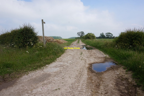 Photo 6"x4" Bridleway off Mill Lane Warter c2020