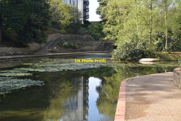 Photo 6"x4" Grosvenor Pond Royal Tunbridge Wells c2020