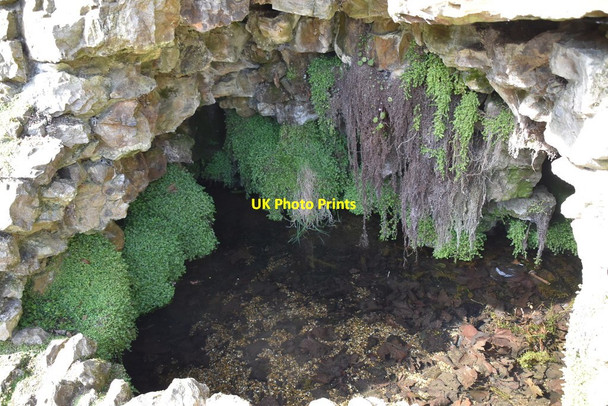 Photo 6"x4" Spring, Grosvenor Pond Royal Tunbridge Wells c2020