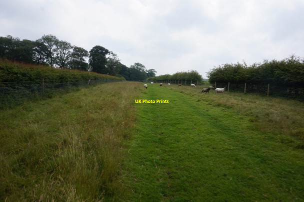 Photo 6"x4" Bridleway towards Blanch Farm Huggate c2020