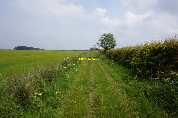 Photo 6"x4" Bridleway towards Haywold Farm Huggate c2020