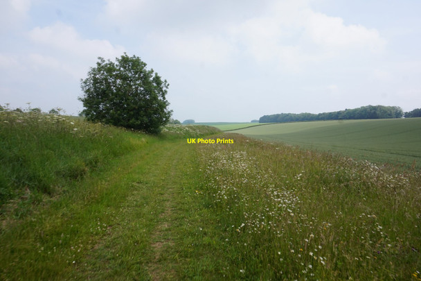 Photo 6"x4" Bridleway towards Deepdale North Dalton c2020