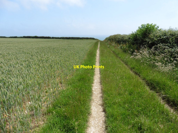 Photo 6"x4" Farm track above Bindon Cliffs Axmouth c2020