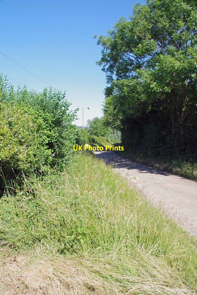 Photo 6"x4" Bridleway Near Wickham Hall Bishop's Stortford c2020