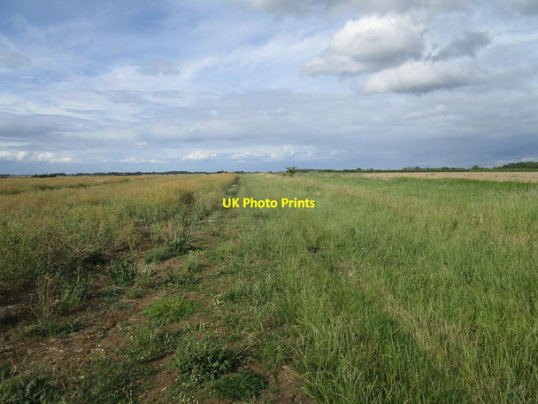 Photo 6"x4" Bridleway to Warren Lane Bythorn c2020
