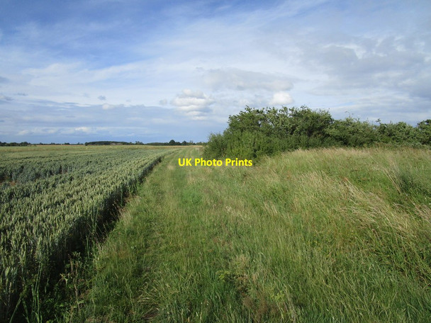 Photo 6"x4" Bridleway leading to Warren Lane Bythorn c2020