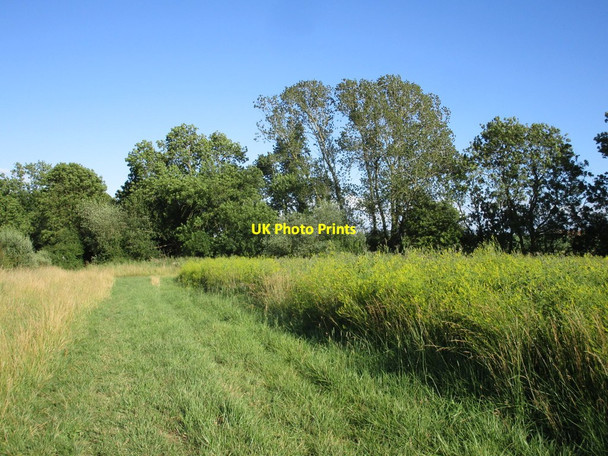 Photo 6"x4" Bridleway to Covington Covington\/TL0570 c2020