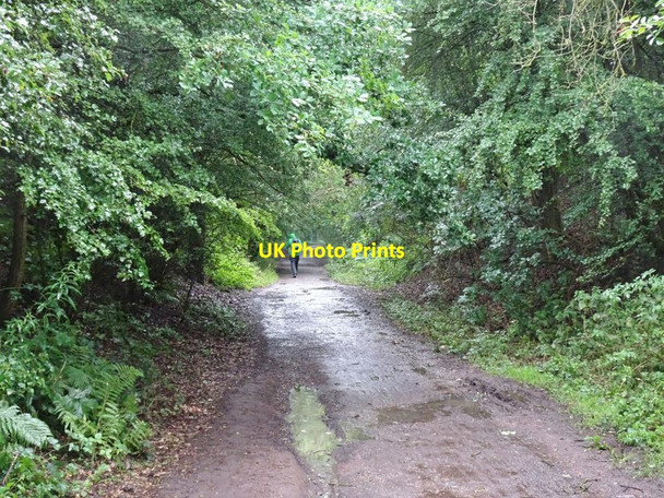 Photo 6"x4" Langley View Orton\/SO8695 c2020