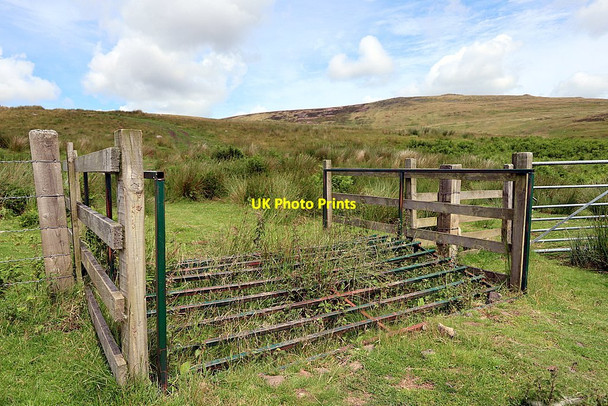 Photo 6"x4" Domed cattle grid near Het Burn Linhope\/NT9616 c2020