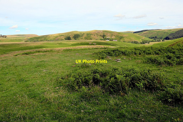 Photo 6"x4" Site of deserted medieval village of Alnhamsheles Linhope\/NT9616 c2020