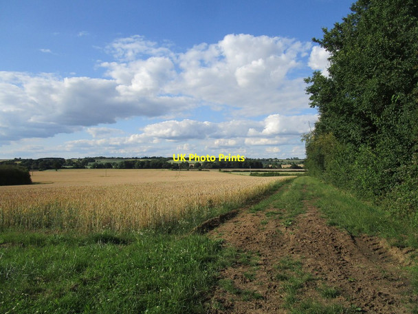 Photo 6"x4" Bridleway, Oakley Hill Shelton\/TL0368 c2020