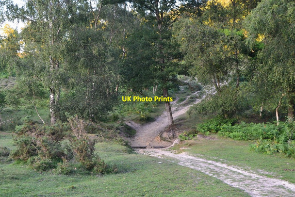 Photo 6"x4" Ford in track at southern edge of Hale Purlieu Hale\/SU1919 c2020
