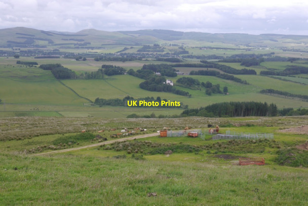 Photo 6"x4" Cattle below Scaur Hill Hill End\/NT0395 c2020