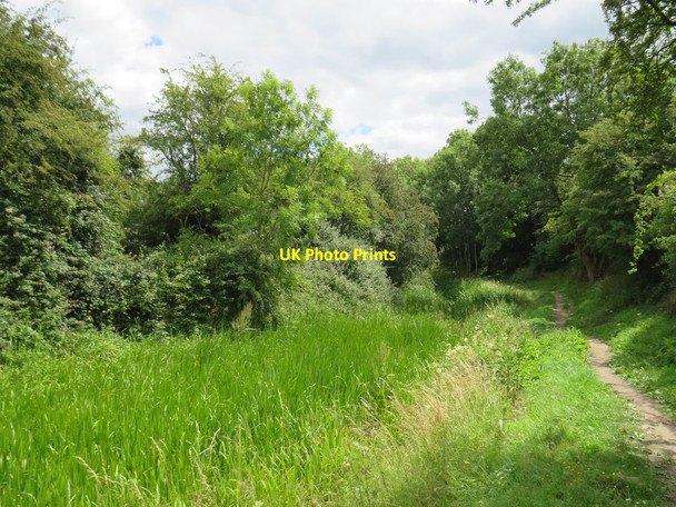Photo 6"x4" Former Thames & Severn Canal near South Cerney South Cerney c2020
