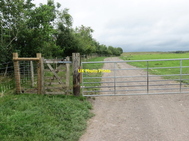 Photo 6"x4" Llwybr i'r mynydd \/ Path to the mountain Ystradowen\/SN7512 c2020