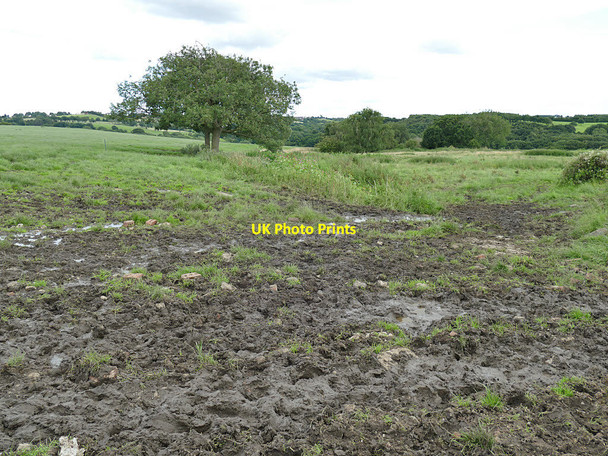 Photo 6"x4" Impassable path at Manor Farm Tong\/SE2230 c2020