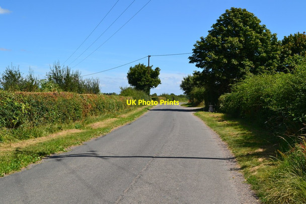 Photo 6"x4" Wires, poles and shadows by Manor Farm Abbotts Ann c2020