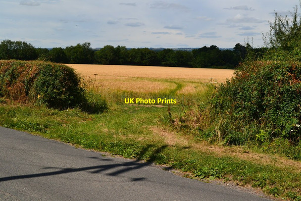 Photo 6"x4" Field entrance near Manor Farm Abbotts Ann c2020