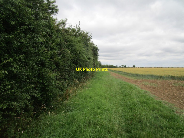 Photo 6"x4" Bridleway to Molesworth Lodge Farm Brook End\/TL0873 c2020