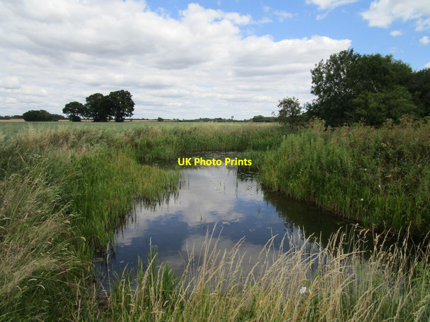 Photo 6"x4" Pond by Bull Nose Coppice Clopton c2020