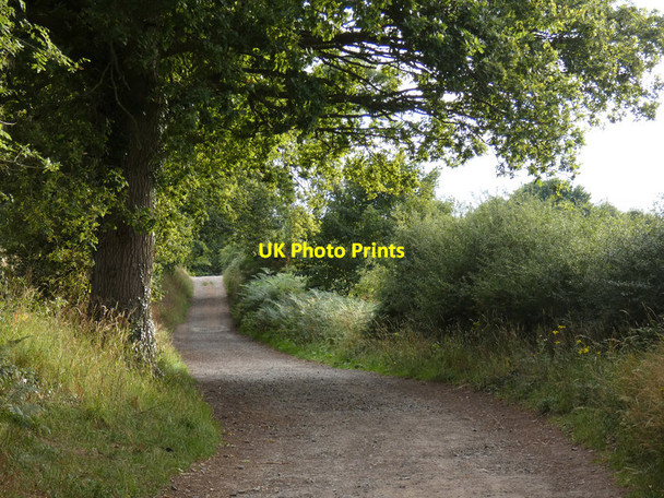 Photo 6"x4" Public bridleway at the Burlish Top Nature Reserve Bewdley\/SO7875 c2020