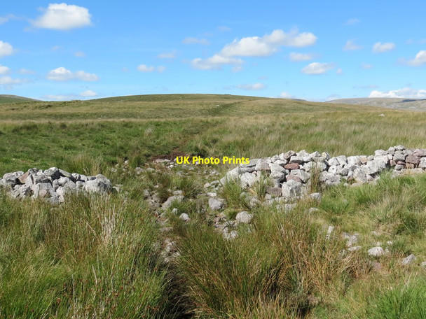 Photo 6"x4" Llwybr ceffyl Cefn Mawr \/ Cefn Mawr bridleway Cae'r-Lan\/SN8012 c2020