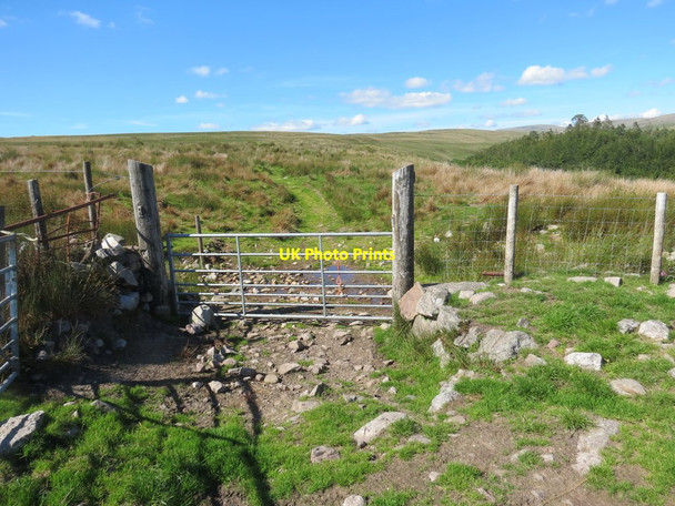 Photo 6"x4" Mynediad i'r mynydd \/ Access to the mountain Cae'r-Lan\/SN8012 c2020