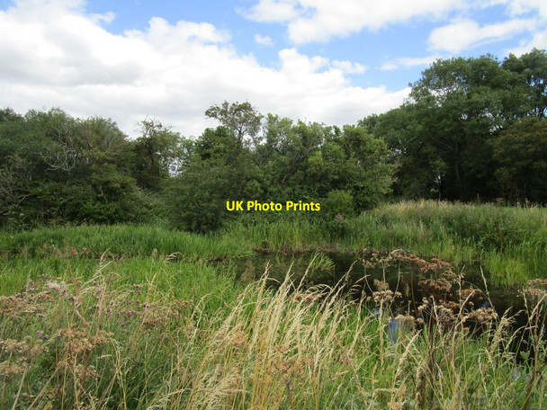 Photo 6"x4" Pond by Bull Nose Coppice Clopton c2020