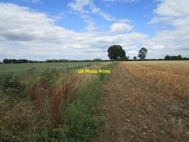 Photo 6"x4" Bridleway to Armston Clopton c2020