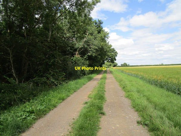 Photo 6"x4" Bridleway to Armston Clopton c2020