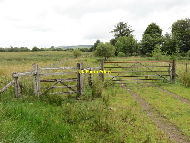 Photo 6"x4" Llwybr ceffyl ger Onllwyn \/ A bridleway near Onllwyn Coelbren c2020