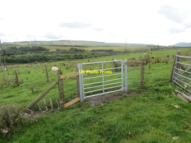 Photo 6"x4" Llwybr ceffyl ger Onllwyn \/ A bridleway near Onllwyn Onllwyn\/SN8410 c2020