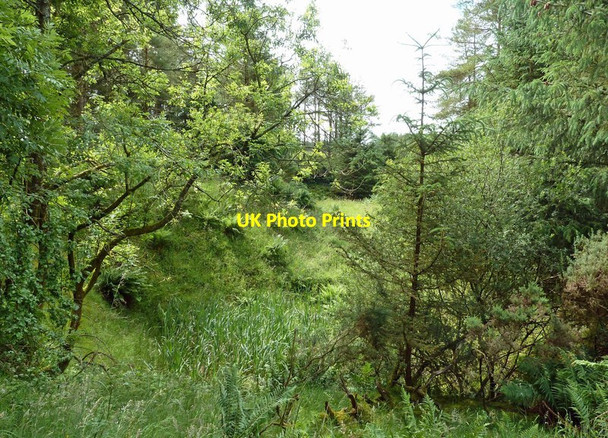Photo 6"x4" An old sandstone quarry Patna c2020