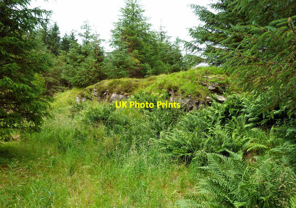 Photo 6"x4" Old limestone quarry Patna c2020