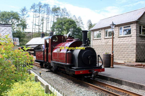 Photo 6"x4" Prince at Tan-y-Bwlch Tan-y-bwlch\/SH6540 c2020