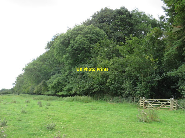 Photo 6"x4" Public bridleway near Enstone Church Enstone c2020