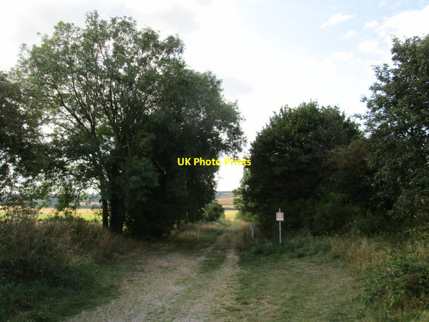 Photo 6"x4" Byway to Turtle Bridge Shotley\/SP9297 c2020