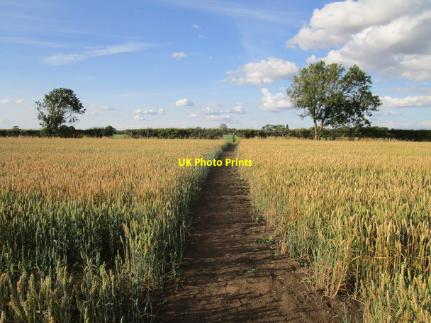 Photo 6"x4" Restricted byway to Barnby in the Willows Barnby in the Willows c2020