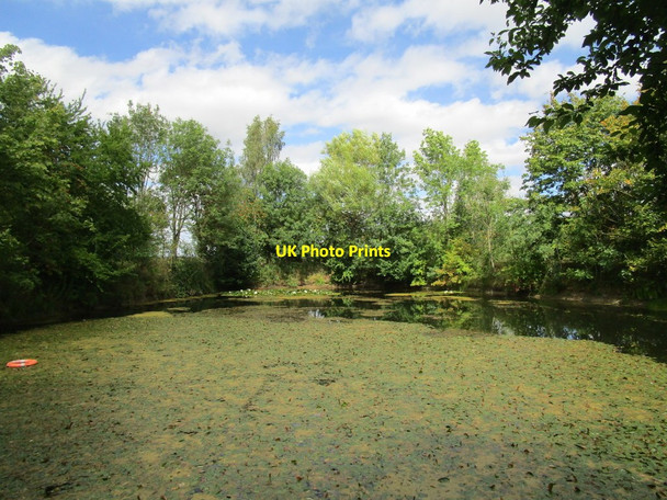 Photo 6"x4" Fishing pond near Stubton Brandon\/SK9048 c2020