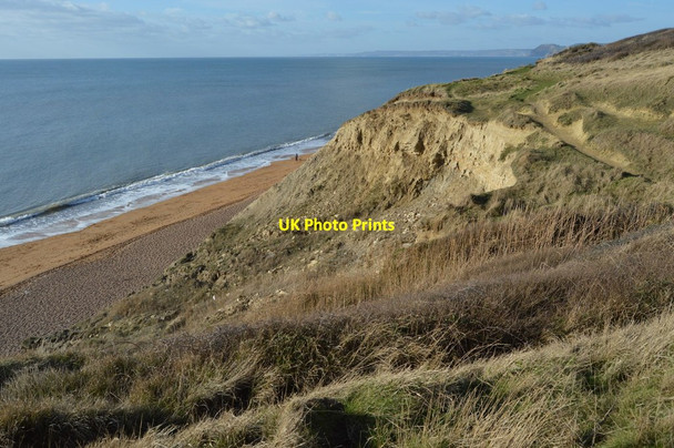Photo 6"x4" Cliff behind Hive Beach Burton Bradstock c2019