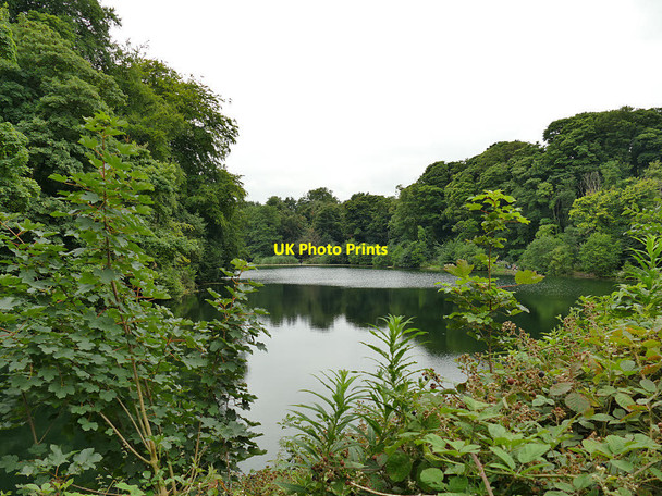 Photo 6"x4" Fish pond at Lawton Hall Kidsgrove c2020