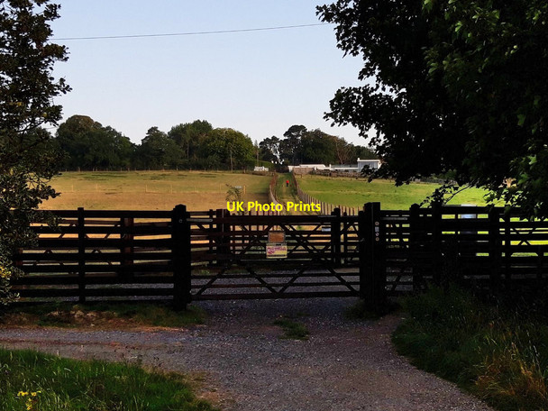 Photo 6"x4" Public footpath to Lincombe Lane from Sunningwell village Sunningwell c2020