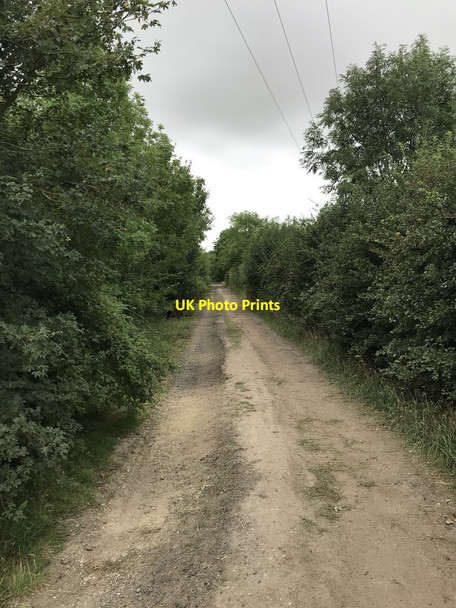 Photo 6"x4" Dunton bridleway Dunton\/TL2344 c2020