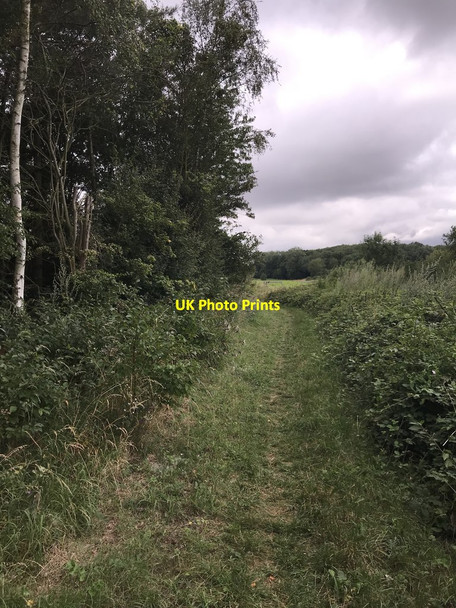 Photo 6"x4" Dunton bridleway Newton\/TL2244 c2020