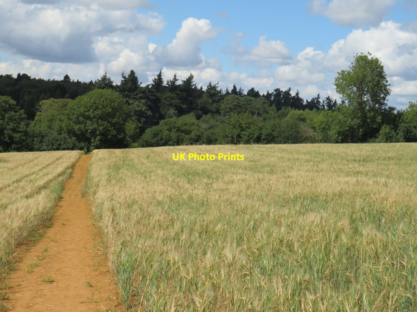 Photo 6"x4" Public footpath near Enstone Church Enstone c2020