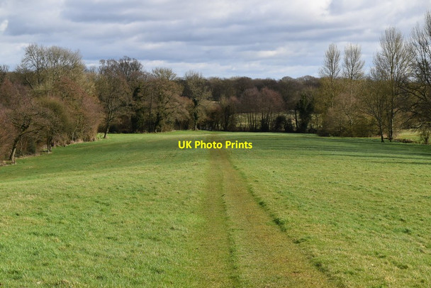 Photo 6"x4" Byway across a field Empshott c2019