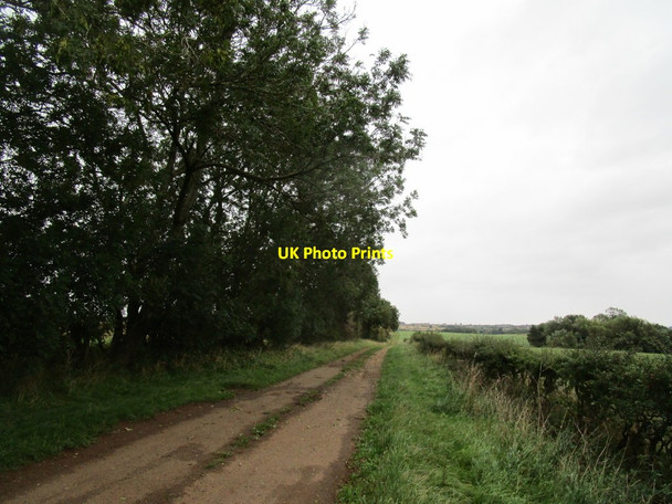 Photo 6"x4" Byway to Goadby Marwood Eastwell\/SK7728 c2020