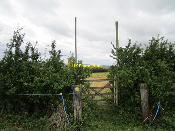 Photo 6"x4" Gate on a bridleway from Scalford Road to Waltham Lane Eastwell\/SK7728 c2020