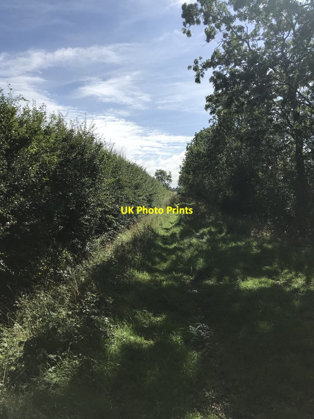 Photo 6"x4" Bridleway alongside Plantation Farm Ashwell End c2020