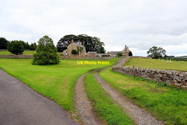 Photo 6"x4" Village green, Halton Halton\/NY9967 c2020